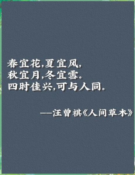 人间草木表达了什么情感_如何读懂