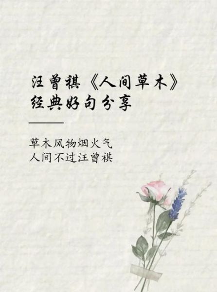 人间草木表达了什么情感_如何读懂