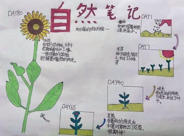 自然百科读书笔记怎么写_自然科普文章写作技巧