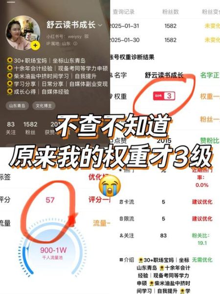 如何提升网站权重_网站权重下降怎么恢复