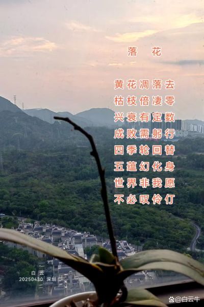 落花表达什么情感_落花意象有哪些