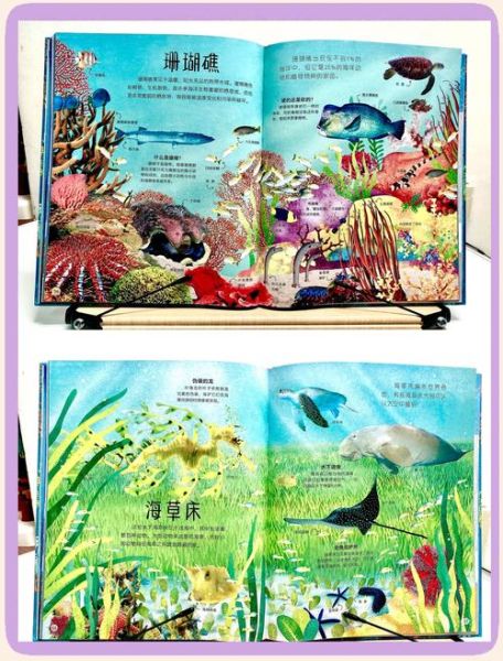 海洋动物大百科点读书怎么用_适合几岁孩子