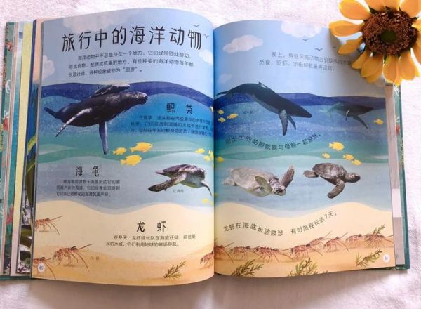 海洋动物大百科点读书怎么用_适合几岁孩子