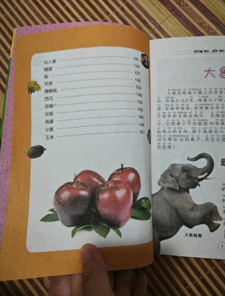 百科全书读书心得_如何高效阅读百科全书