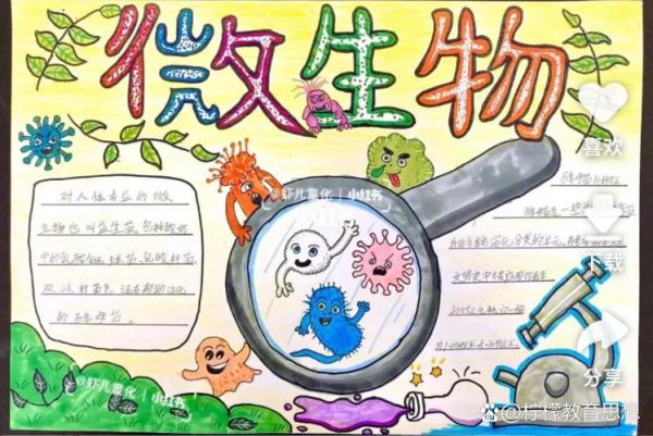 微生物大百科适合孩子读吗_如何制作读书小报