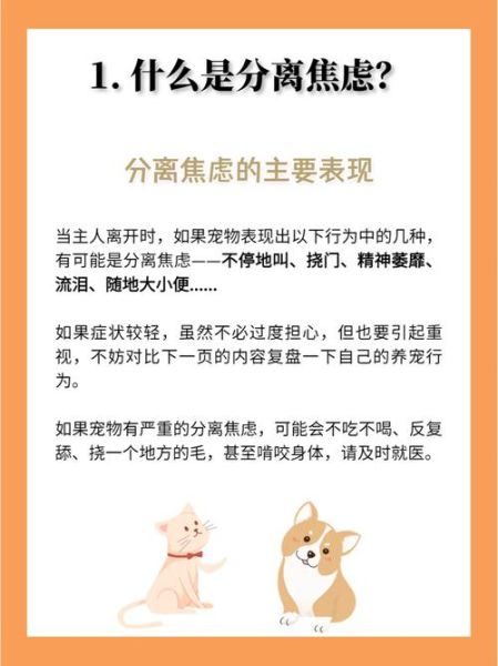 忠犬为什么一直等我回家_狗狗分离焦虑怎么办