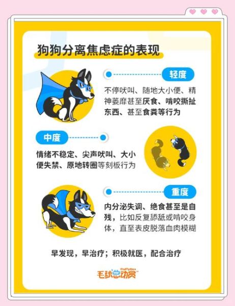 忠犬为什么一直等我回家_狗狗分离焦虑怎么办