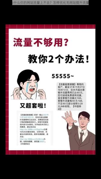 网站排名怎么提升_为什么流量不涨