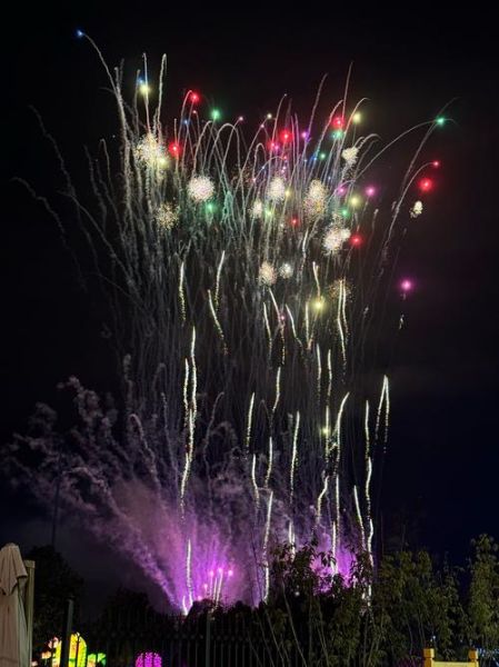 烟花代表什么情感_为什么看烟花会哭