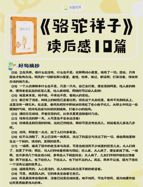 骆驼如何表达情感_骆驼会哭吗