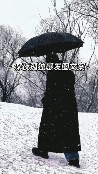 冬眠情感表达_如何写出孤独感