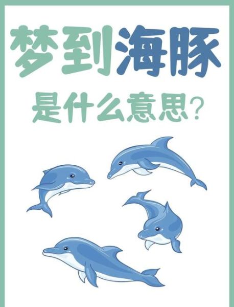 海豚如何表达情感_海豚情感表达方式