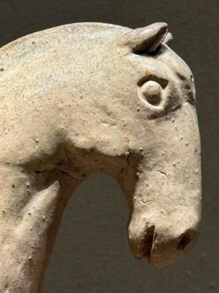 马为什么能表达情感_马的情感表达方式有哪些