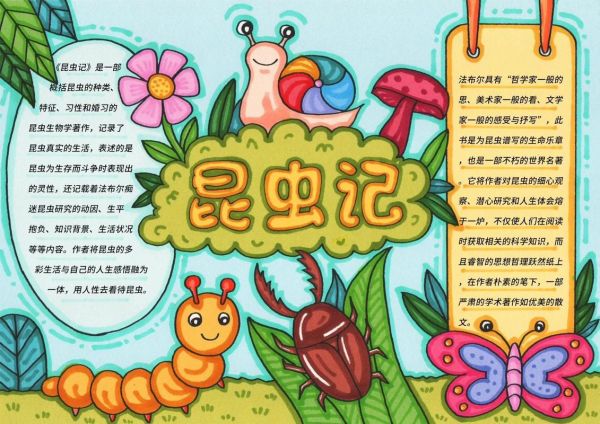 昆虫有哪些种类_昆虫百科读书小报怎么做