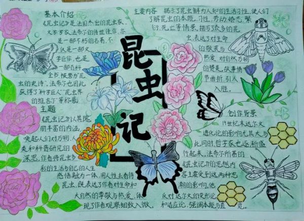 昆虫有哪些种类_昆虫百科读书小报怎么做