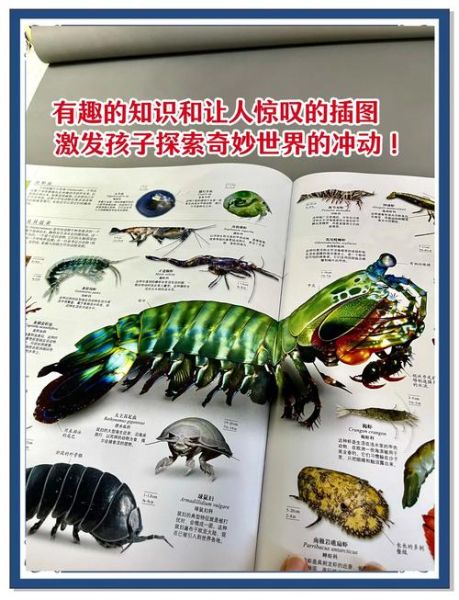自然百科有哪些值得收藏的冷知识_自然百科如何激发孩子科学兴趣