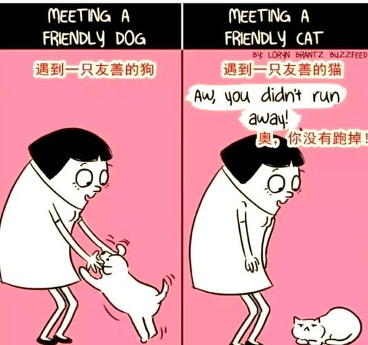 猫狗情感表达方式有哪些_如何区分猫狗情绪