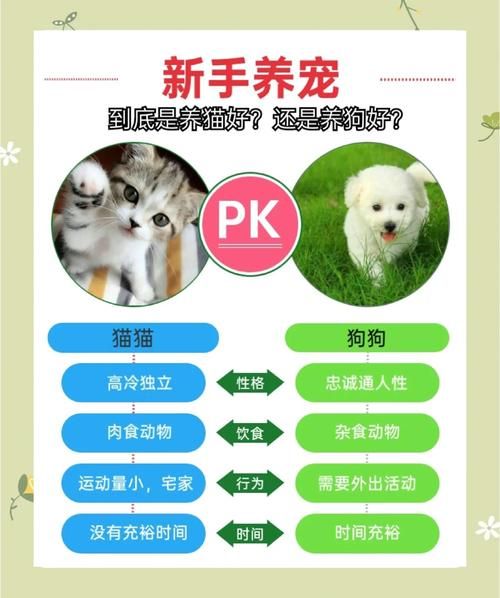 猫狗情感表达方式有哪些_如何区分猫狗情绪