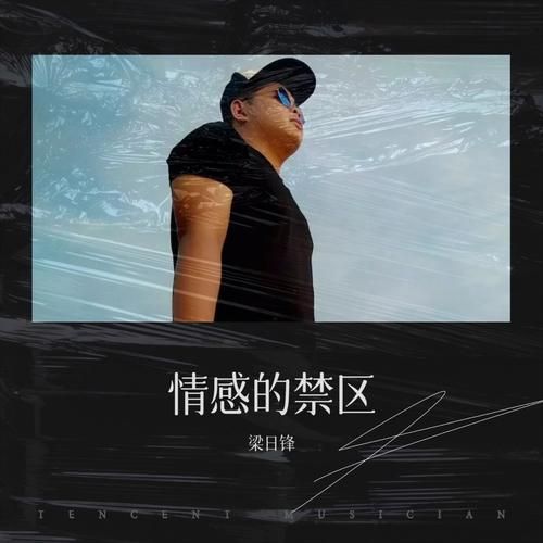 情感的禁区表达了什么_歌词深层含义解析