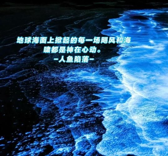 海潮表达情感_如何用海潮表达情感