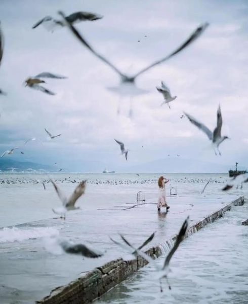 如何通过景观摄影表达情感_风景照片怎么拍出情绪感
