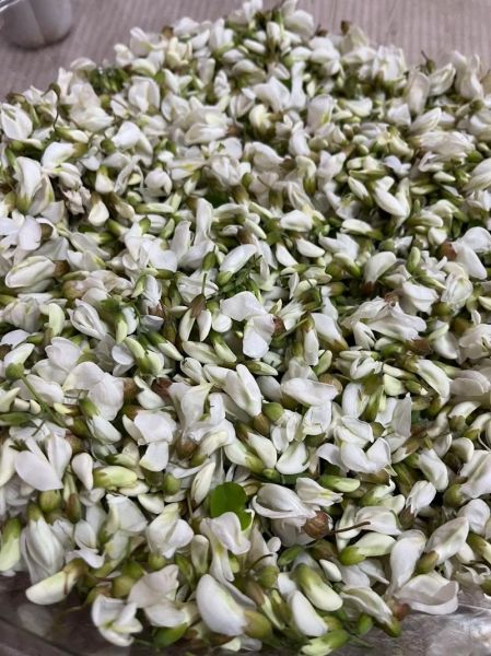 槐花汪曾祺表达了什么情感_槐花象征什么