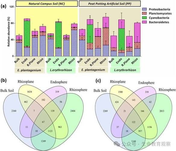 什么是生态位_如何理解生态位分化