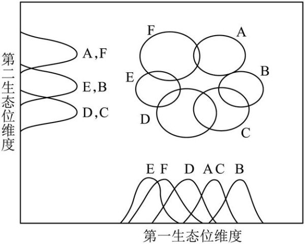 什么是生态位_如何理解生态位分化