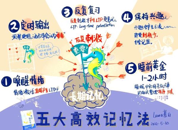 认知主义心理学如何提高记忆力_认知主义心理学如何提升学习效率