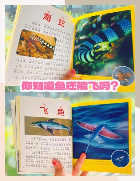 海洋动物大百科适合几岁孩子_读后感怎么写