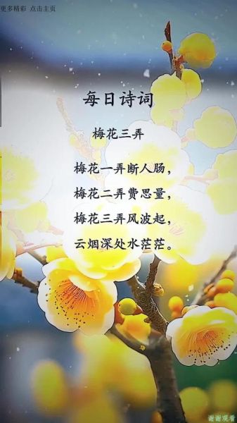 梅花三弄表达了什么情感_梅花三弄为何如此动人