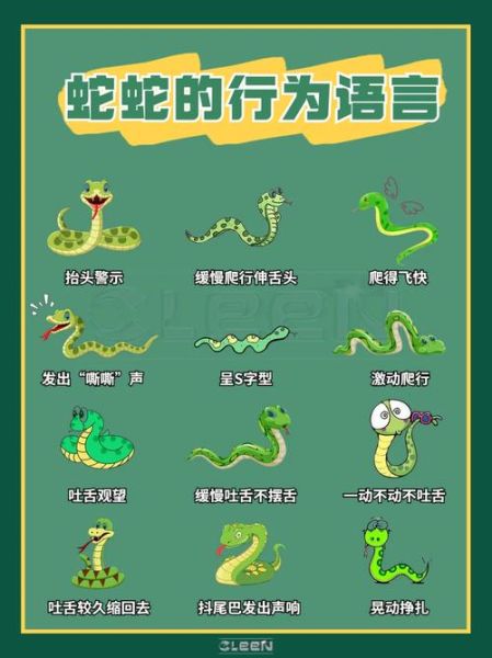 蛇会表达情绪吗_蛇的情感表达方式