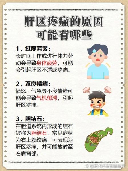 肝脏不好怎么调理_肝区隐痛是怎么回事