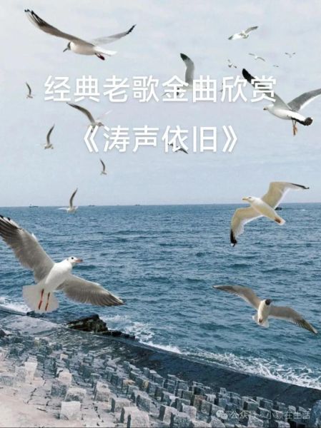 涛声依旧表达什么情感_如何理解怀旧与不舍