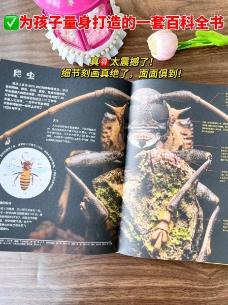 大英百科全书是什么_如何高效阅读