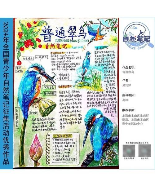 自然大百科读书笔记_适合学生吗