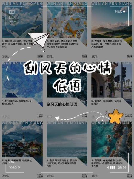 无风表达什么情感_无风天气心情低落怎么办