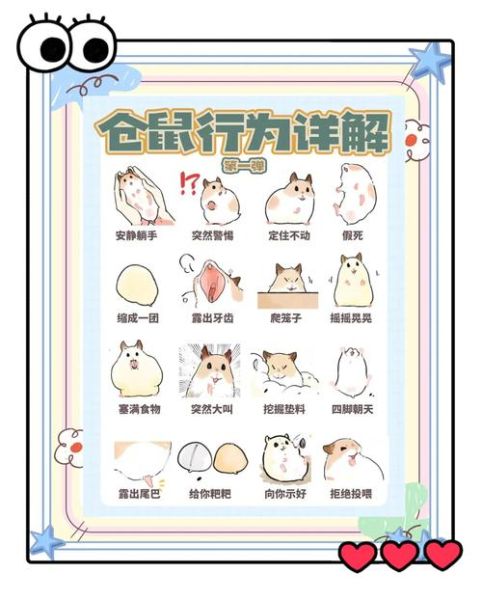 小鼠动作表达情感_如何识别