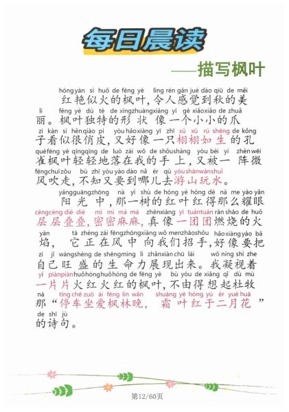 枫表达情感_如何用枫叶写情书