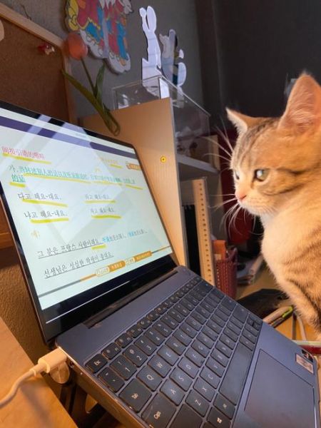 어떤_표현이_진심일까_감정을_잘_나타내는_한국어_표현