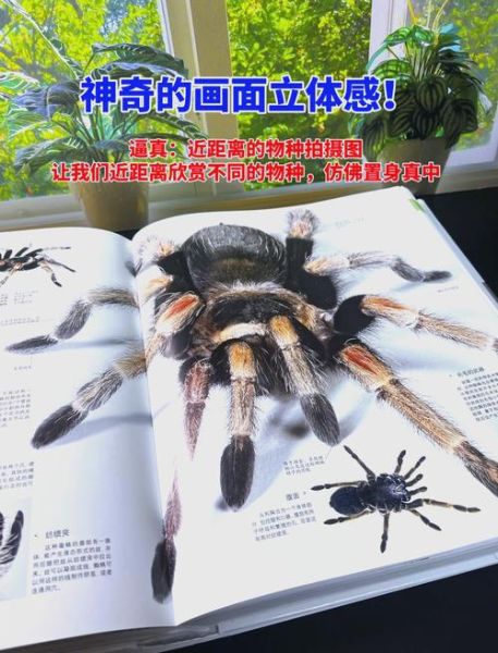 DK博物大百科适合几岁孩子_DK博物大百科读书心得