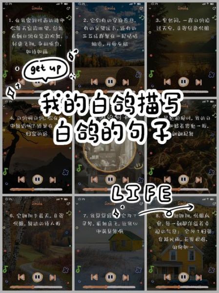 鸽子咕咕叫代表什么_如何安抚受惊的鸽子