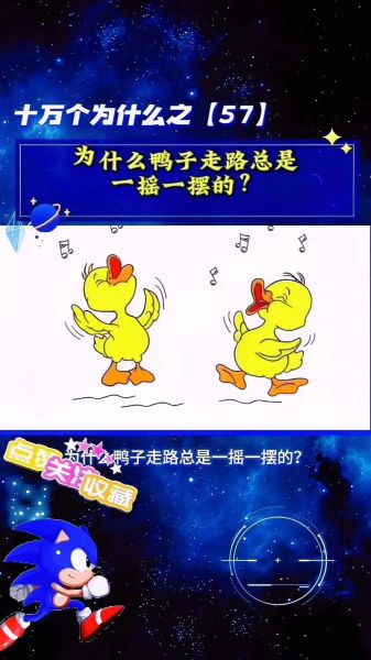 鸭子为什么总是叫_鸭子叫声代表什么情感