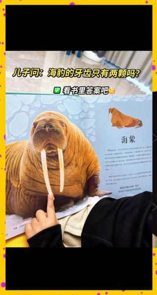 动物大百科适合几岁孩子阅读_如何挑选版本