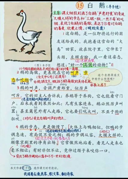 白鹅怎么表达情感_白鹅情感表达方式有哪些