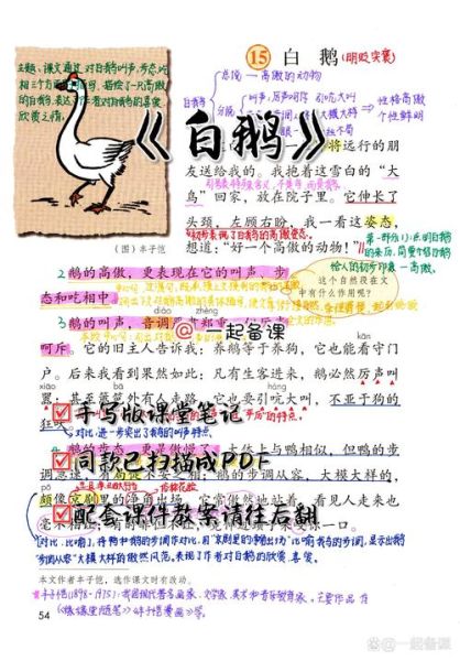 白鹅怎么表达情感_白鹅情感表达方式有哪些