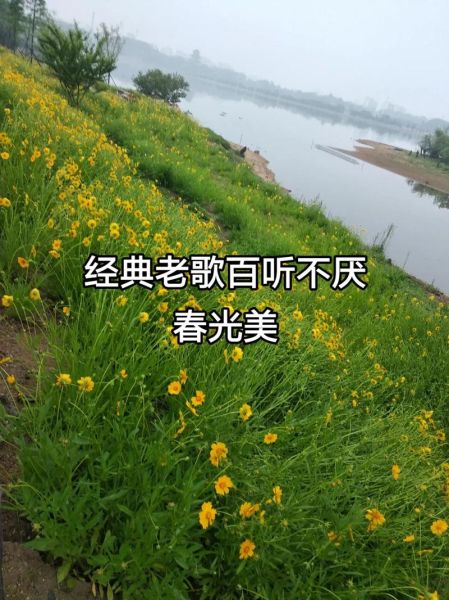 春光美歌表达的情感是什么_如何理解春光美歌的深意