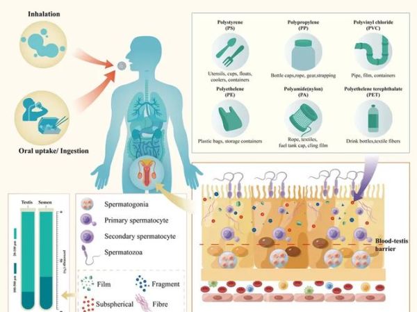 微生物对人类健康的影响_微生物如何影响免疫系统