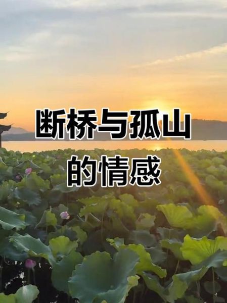 断桥情感表达_如何走出断桥式失恋