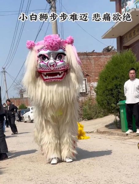 小白狮情感表达_小白狮怎么表达情绪